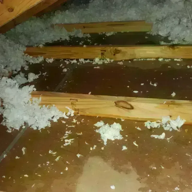 Attic Water Damage in Sutter, CA