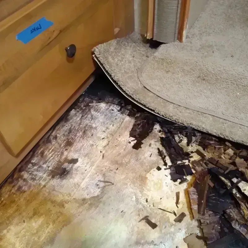 Wood Floor Water Damage in Sutter, CA